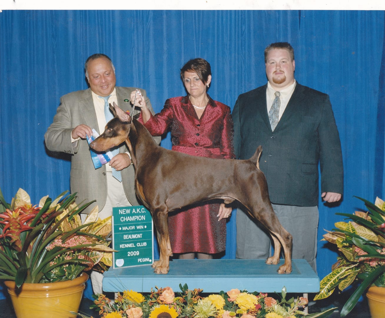 Mariah's Red draggin v koepsel winning his akc championship
